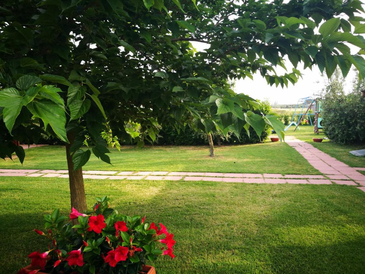 Agriturismo Alturetta Riotorto Exterior photo